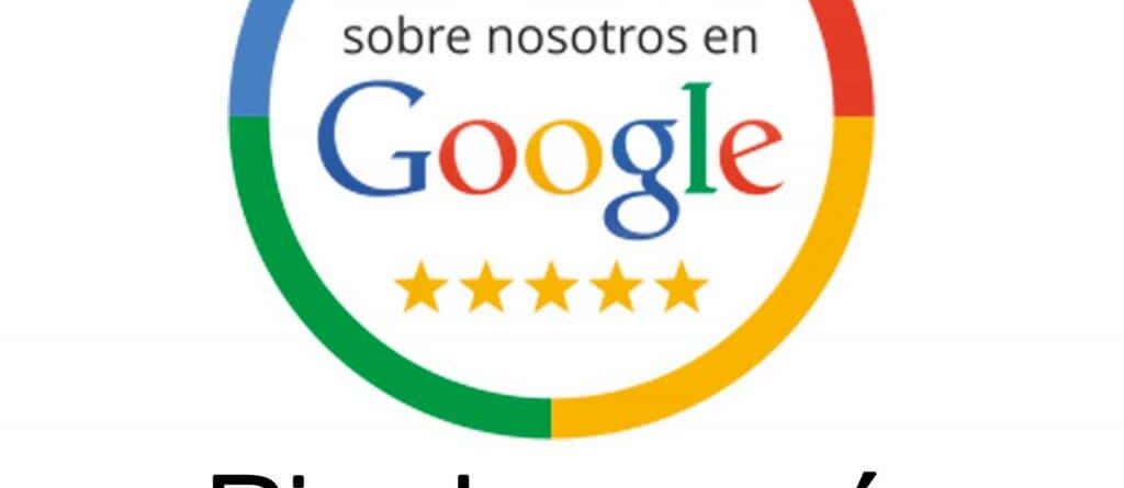 Reseña Google