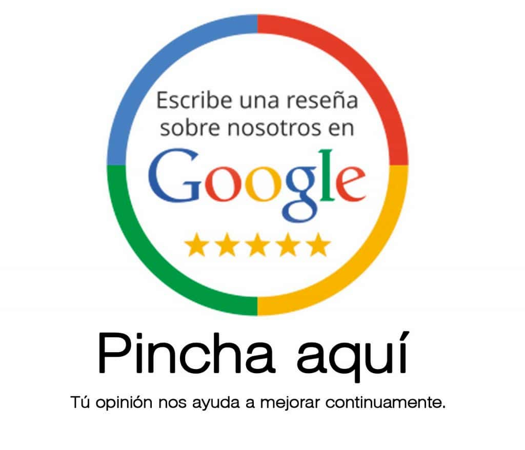 Reseña Google